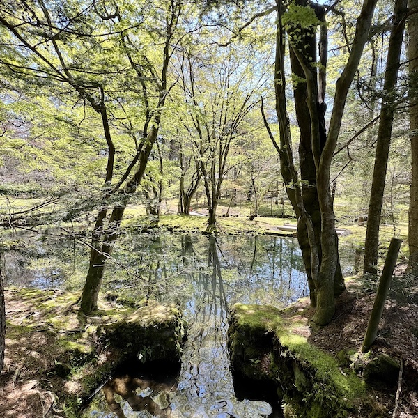 新緑の軽井沢